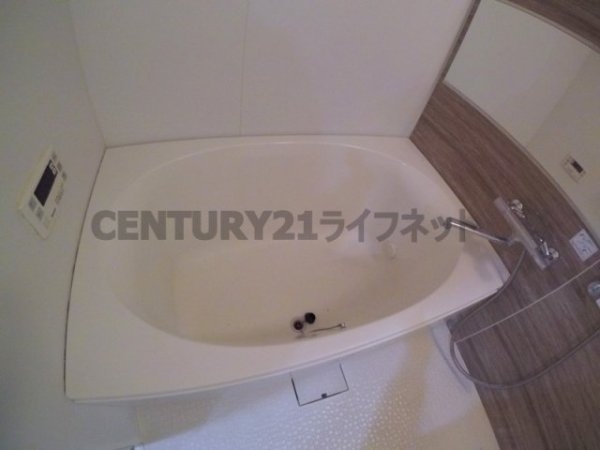 フェニックスコート