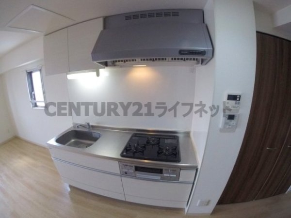 フェニックスコート