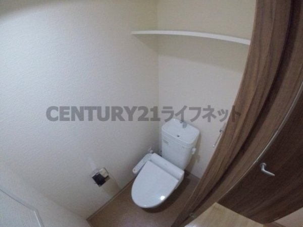 フェニックスコート