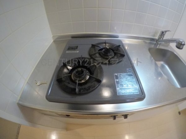 レジュールアッシュプレミアムツイン-2