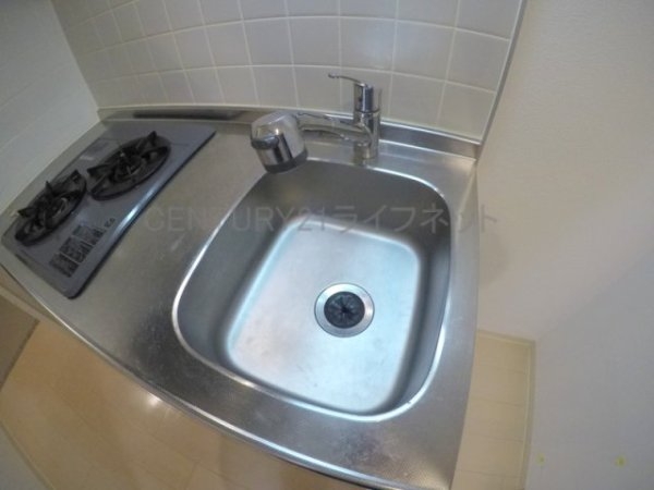 レジュールアッシュプレミアムツイン-2