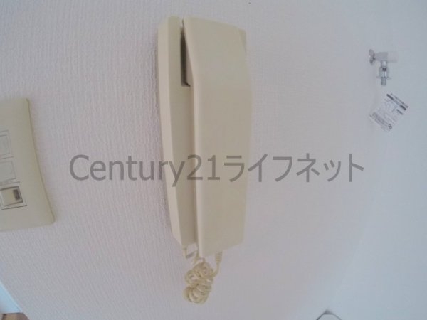 ベルンガーデン同心