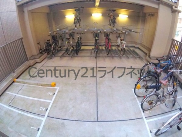 ティーズガーデン