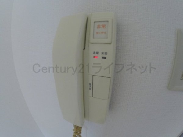 ペットマンション富士