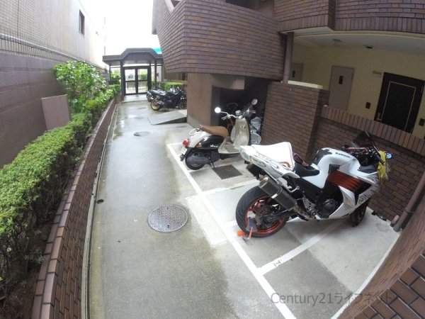 ミフネセントラルベア東三国