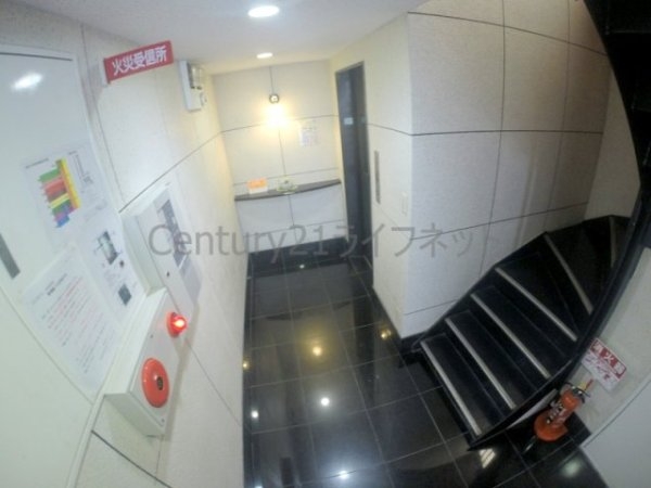 エヌワイデュオ