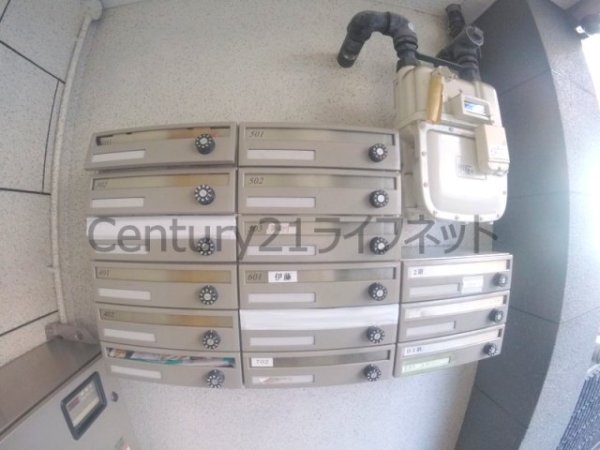 エヌワイデュオ