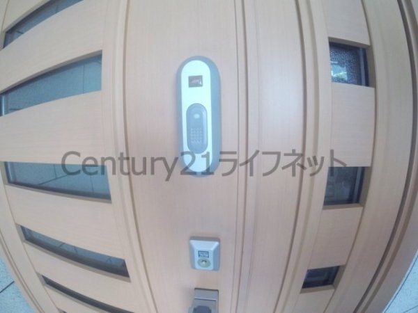 エヌワイデュオ