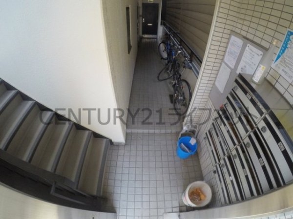 ファミリーハイツ