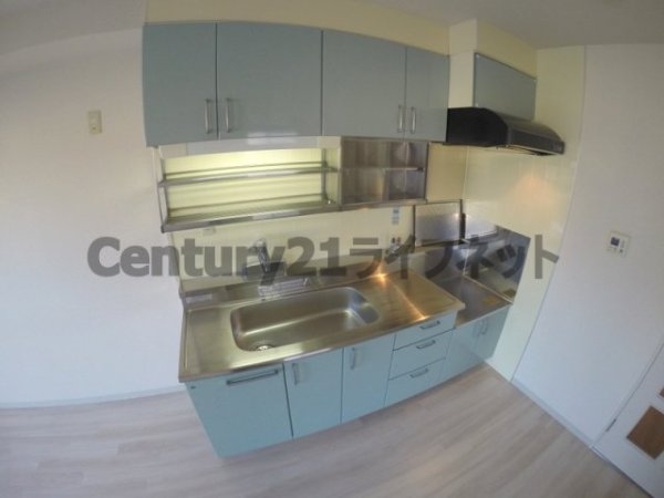 ヒシヒラリバーハイツ