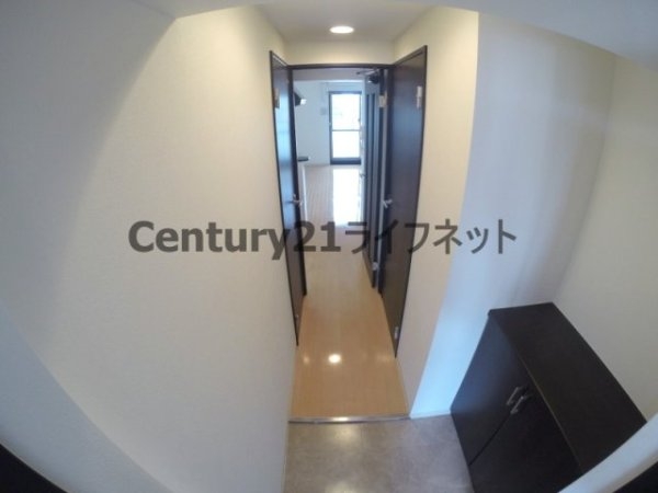 エクセレント上新17