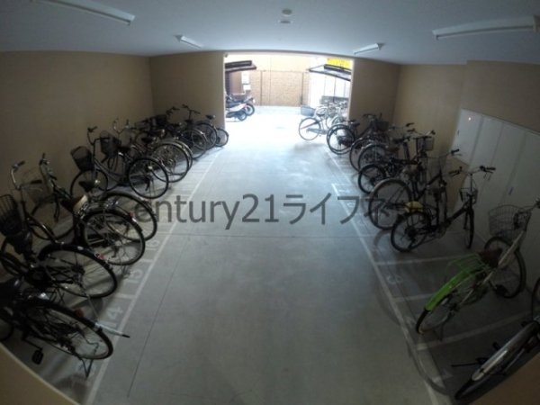 エクセレント上新17