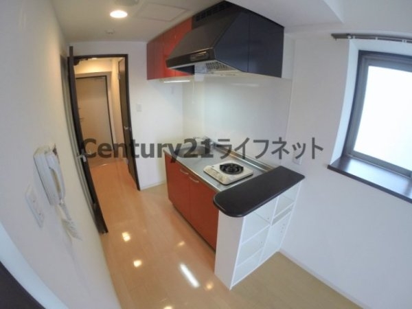 エクセレント上新17