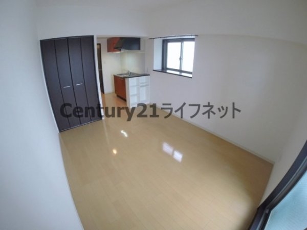 エクセレント上新17