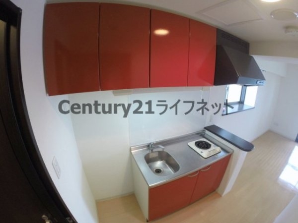 エクセレント上新17