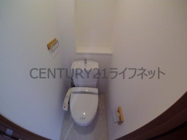 プロスペクト中之島