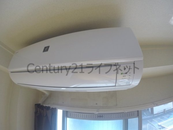 シロハイヌ新大阪