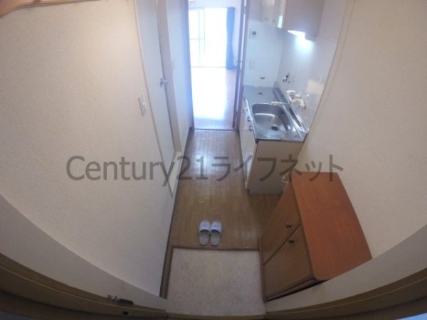 シロハイヌ新大阪