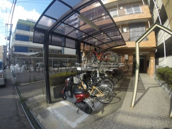 シロハイヌ新大阪