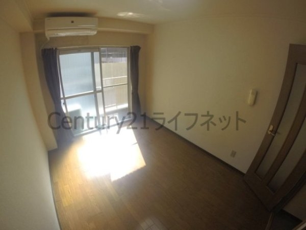 シロハイヌ新大阪