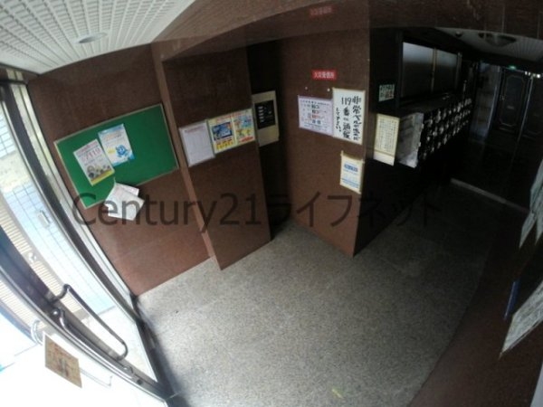 マンションドイール