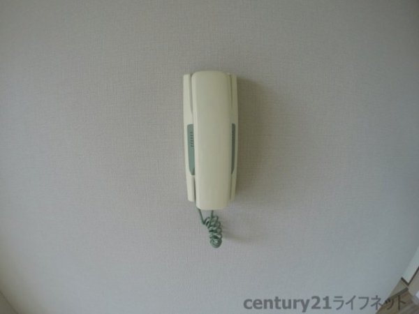 ホワイトハイツカドタ