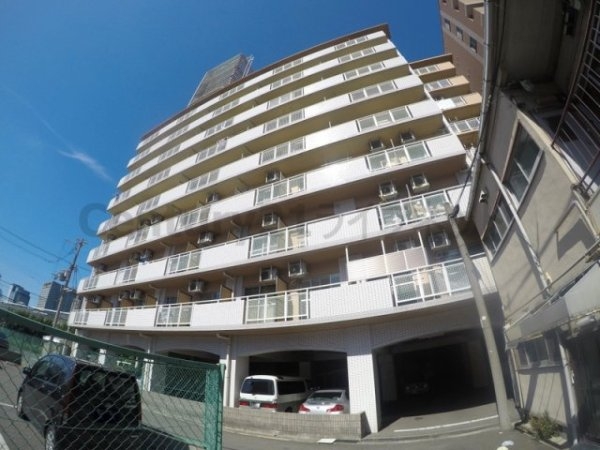 ホワイトハイツカドタ