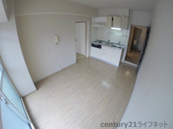 ホワイトハイツカドタ