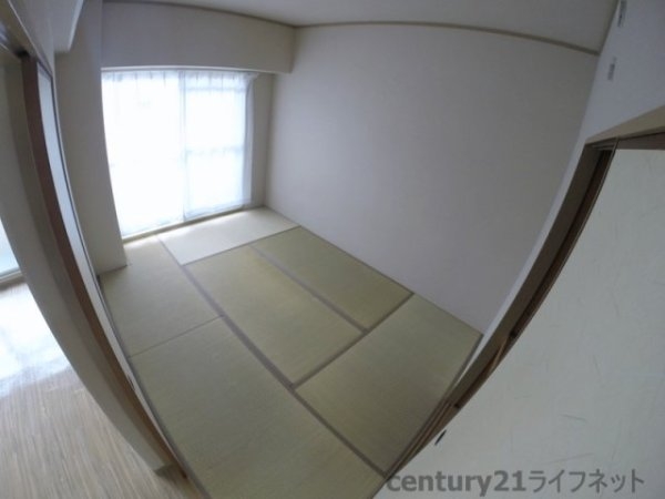 ホワイトハイツカドタ