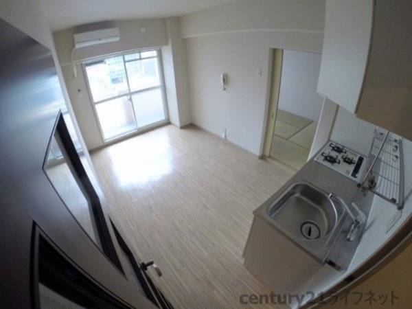 ホワイトハイツカドタ