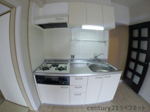 ホワイトハイツカドタ