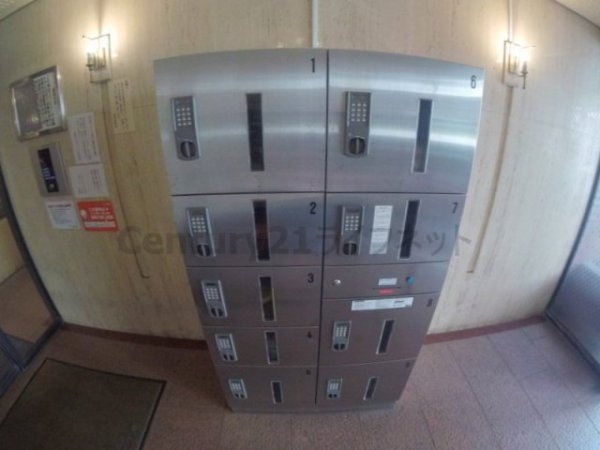 ミフネセントラルベア新大阪