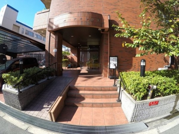 タイガーアネックス