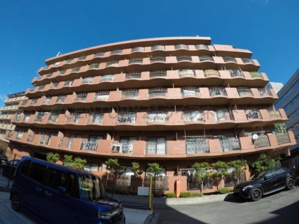 タイガーアネックス