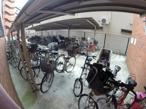 タイガーアネックス