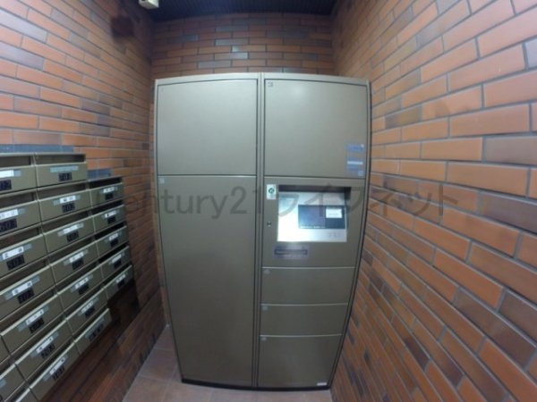 タイガーアネックス