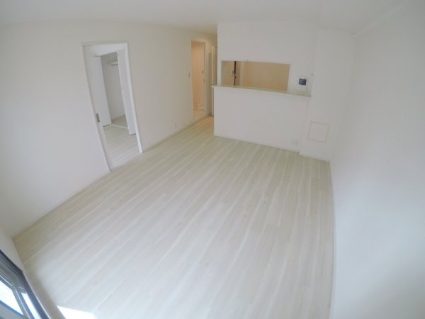 タイガーアネックス