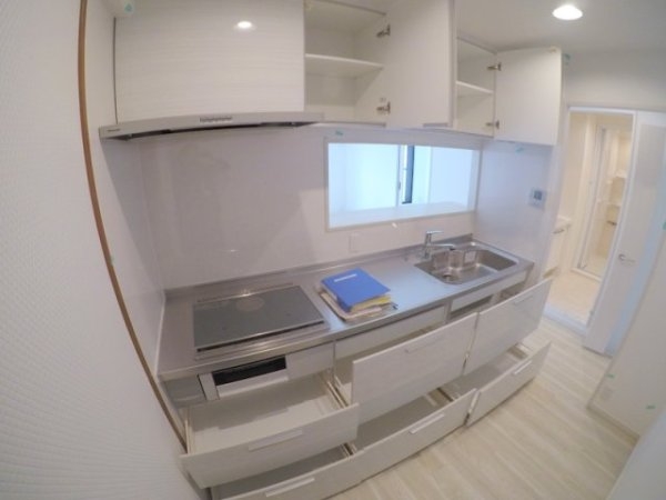 タイガーアネックス