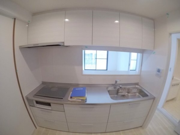 タイガーアネックス