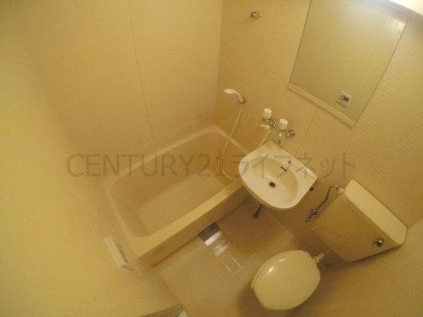 ルガルデレイナ