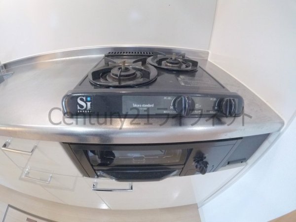 NORTHVILLAGEBIRTHPLACE本館