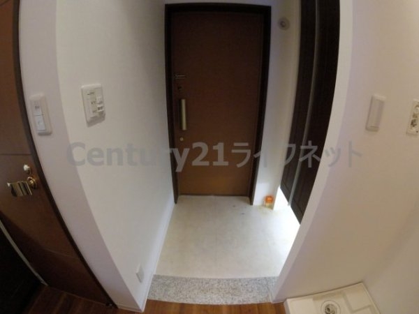 コンソラーレ同心