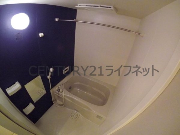 ヴィルヌーブ中之島