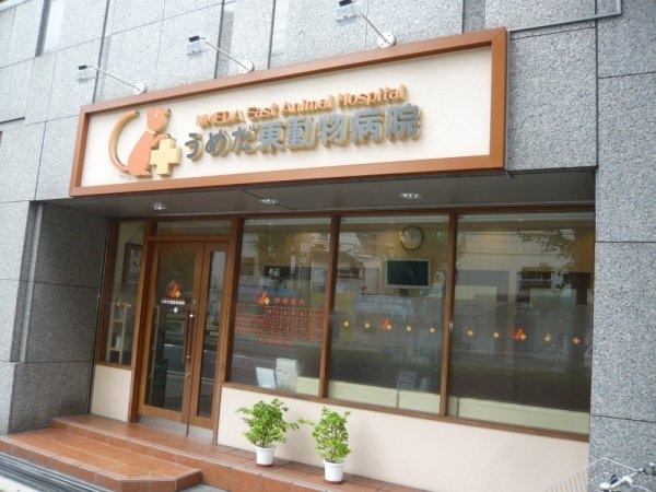 SWISS梅田東(うめだ東動物病院)