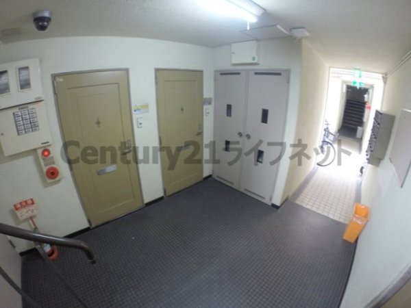 エムエムハイツ