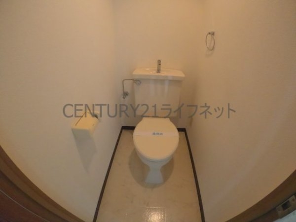 パセオアンビエンテ