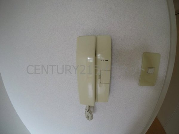 シンセリティ野中