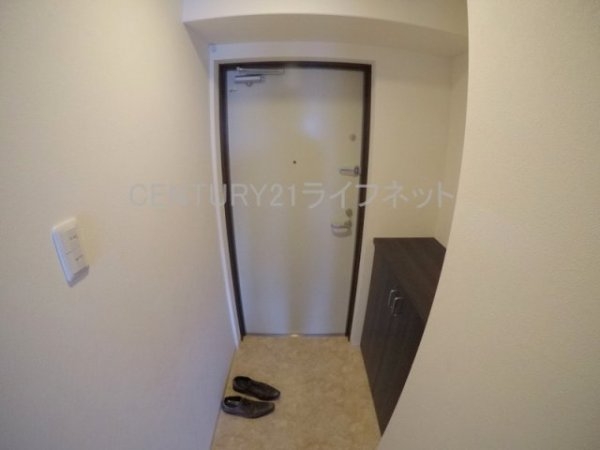 エクセレント上新20