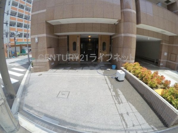 エクセレント上新20