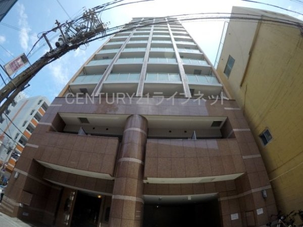 エクセレント上新20